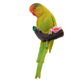 Maxbell 3Pcs Resin Parrots Budgerigar Birds Animals Ornaments Hanging Decorations