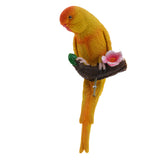 Maxbell 3Pcs Resin Parrots Budgerigar Birds Animals Ornaments Hanging Decorations