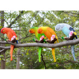 Maxbell 3Pcs Resin Parrots Budgerigar Birds Animals Ornaments Hanging Decorations