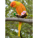 Maxbell 3Pcs Resin Parrots Budgerigar Birds Animals Ornaments Hanging Decorations