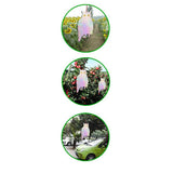 Maxbell 2 Pair Reflective Flying Owl Decoy & Bird Repellent Scarecrow Bird Deterrent