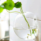Maxbell 2PCS Wall Hanging Planter Glass Hydroponic Vase Plant Pot Terrarium Ball