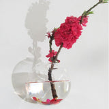 Maxbell 2PCS Wall Hanging Planter Glass Hydroponic Vase Plant Pot Terrarium Ball