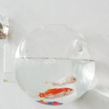 Maxbell 2PCS Wall Hanging Planter Glass Hydroponic Vase Plant Pot Terrarium Ball