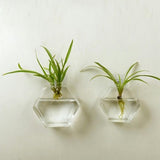 Maxbell 4x Wall Mount Planter Glass Hydroponic Vase Plant Pot Terrarium Hexagon 13cm