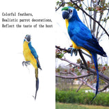 Maxbell 6pcs 45cm Artificial Parrot Bird Realistic Decor Budgie Taxidermy