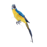 2cs Realistic Macaw Parrot Artificial Feather Bird Animal Ornament Toys