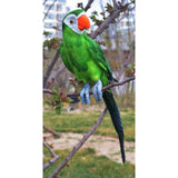 Maxbell 6pcs 45cm Artificial Parrot Bird Realistic Decor Budgie Taxidermy