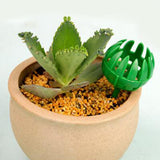 Maxbell 4x 10pcs Fertilizer Basket Osmocote Plant Pot Garden Flower Vegetable Bonsai Green L