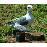 Maxbell 2 x Creative Resin Seagull Statue Lawn Ornament Garden Sculpture Home Decor
