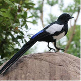 Maxbell Bird Garden Ornament Magpie Patio Decor Outdoor Decoration Artificial Animal