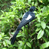 Maxbell Bird Garden Ornament Magpie Patio Decor Outdoor Decoration Artificial Animal