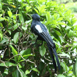 Maxbell Bird Garden Ornament Magpie Patio Decor Outdoor Decoration Artificial Animal