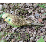 Maxbell 2Pieces Miniature Animals Birds Model Figurine Statue Scupltue Toy Parrot