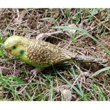 Maxbell 2Pieces Miniature Animals Birds Model Figurine Statue Scupltue Toy Parrot