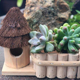 Maxbell Cute Succulent Plants Pot Cactus Plant Pot Flower Pot Container Planter Bonsai Pots with Bird Houses - Aladdin Shoppers