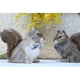 Maxbell Lifelike Feathered Squirrels Home Adornment Decoration Handmade Crafts Simulation Animals Model Toy Teaching Props - Aladdin Shoppers