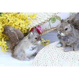 Maxbell Lifelike Feathered Squirrels Home Adornment Decoration Handmade Crafts Simulation Animals Model Toy Teaching Props - Aladdin Shoppers