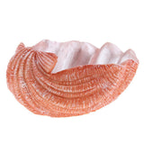 Creative cartoon Vivid Shell succulent plant landscape resin flowerpot - Aladdin Shoppers