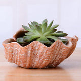 Creative cartoon Vivid Shell succulent plant landscape resin flowerpot - Aladdin Shoppers