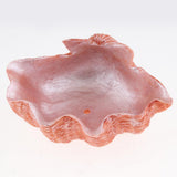 Creative cartoon Vivid Shell succulent plant landscape resin flowerpot - Aladdin Shoppers