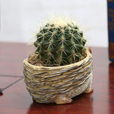 Creative Vivid Hedgehog succulent plant landscape resin flowerpot - Aladdin Shoppers