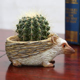Creative Vivid Hedgehog succulent plant landscape resin flowerpot - Aladdin Shoppers