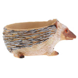 Creative Vivid Hedgehog succulent plant landscape resin flowerpot - Aladdin Shoppers