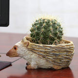 Creative Vivid Hedgehog succulent plant landscape resin flowerpot - Aladdin Shoppers