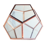 Geometric Glass Terrarium Planter Succulent Container Multifunctional Tabletop Storage Indoor Ornament - Aladdin Shoppers