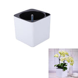 Maxbell 3Sizes Self Watering Planter Pot  for Herbs w/Water Level Indicator White