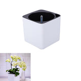 Maxbell 3Sizes Self Watering Planter Pot  for Herbs w/Water Level Indicator White