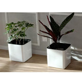 Maxbell 3Sizes Self Watering Planter Pot  for Herbs w/Water Level Indicator White