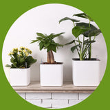 Maxbell 3Sizes Self Watering Planter Pot  for Herbs w/Water Level Indicator White