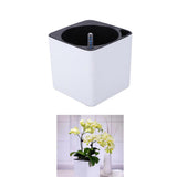 Maxbell 3Sizes Self Watering Planter Pot  for Herbs w/Water Level Indicator White