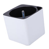 Maxbell 3Sizes Self Watering Planter Pot  for Herbs w/Water Level Indicator White