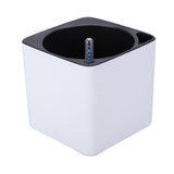 Maxbell 3Sizes Self Watering Planter Pot  for Herbs w/Water Level Indicator White