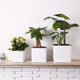 Maxbell 3Sizes Self Watering Planter Pot  for Herbs w/Water Level Indicator White