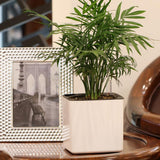 Maxbell 3Sizes Self Watering Planter Pot  for Herbs w/Water Level Indicator White