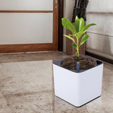 Maxbell 3Sizes Self Watering Planter Pot  for Herbs w/Water Level Indicator White