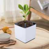 Maxbell 3Sizes Self Watering Planter Pot  for Herbs w/Water Level Indicator White