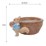 Maxbell 4pcs Cute Lovely Resin Walnut Shape Succulent Plant Pot for Home Decor