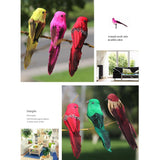 Maxbell 6Pcs Colours Artificial Feather Foam Birds with Clamp Garden Tree Decor