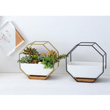 Maxbell 2x Tabletop Ceramic Indoor Plant Pot on Octagonal Rack Succulent Planter
