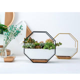 Maxbell 2x Tabletop Ceramic Indoor Plant Pot on Octagonal Rack Succulent Planter