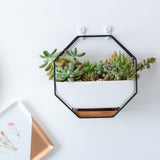 Maxbell 2x Tabletop Ceramic Indoor Plant Pot on Octagonal Rack Succulent Planter