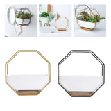 Maxbell 2x Tabletop Ceramic Indoor Plant Pot on Octagonal Rack Succulent Planter