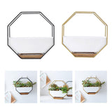 Maxbell 2x Tabletop Ceramic Indoor Plant Pot on Octagonal Rack Succulent Planter
