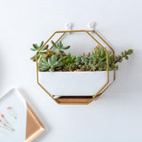 Maxbell 2x Tabletop Ceramic Indoor Plant Pot on Octagonal Rack Succulent Planter