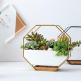 Maxbell 2x Tabletop Ceramic Indoor Plant Pot on Octagonal Rack Succulent Planter